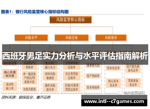 西班牙男足实力分析与水平评估指南解析