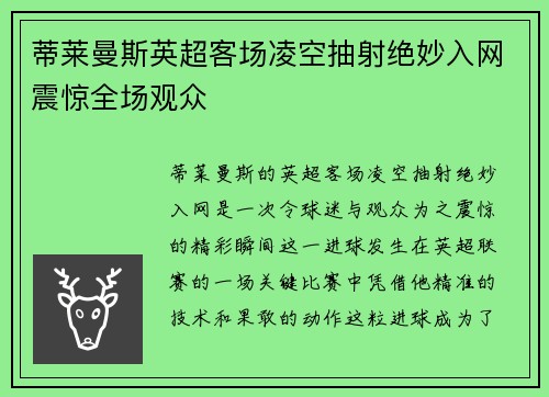 蒂莱曼斯英超客场凌空抽射绝妙入网震惊全场观众